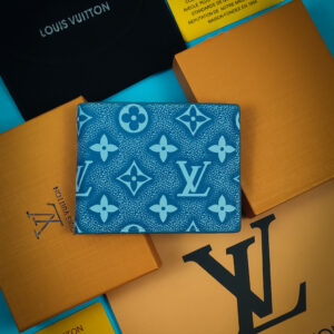 Louise Vuitton Wallet_casual_12