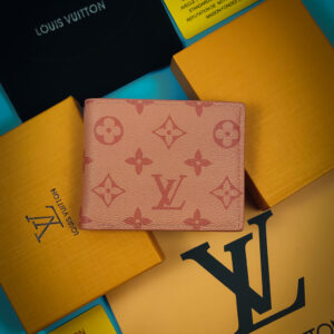 Louise Vuitton Wallet_casual_9