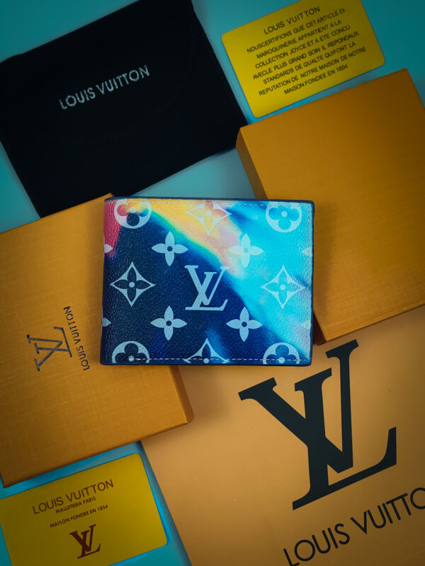 Louise Vuitton Wallet_casual_10